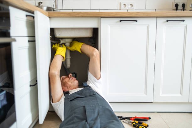 Best Garbage Disposal Repair and Installation  in Waltham, MA